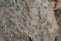 close up of beige limestone rock with shape and texture which looks like mountain ridge folding