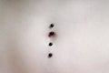 Belly button or navel pierced with double barbell piercing