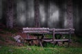 close-up of benches in front of a fir forest with fog