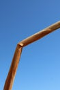 Bruised reed against brilliant blue sky background