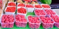 Close up of berries for sale at a farmer's market. Different types of berries put in plastic containers Royalty Free Stock Photo