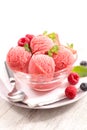 Berry fruit ice cream Royalty Free Stock Photo