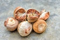Betel Nut or Areca Nut background Royalty Free Stock Photo