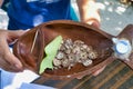 Closeup of betel nuts selling on Maafushi Island Maldives Royalty Free Stock Photo