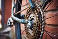 close-up of bicycle gears and chain