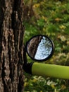 Close-up of a bicycle mirror reflecting a tree trunk and forest greenery. Royalty Free Stock Photo