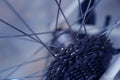 Close-up bicycle parts rear wheel cassette with bicycle spokes. Royalty Free Stock Photo