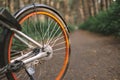 Close-up bicycle wheel on a forest path, active lifestyle, outdoor sports