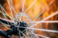 Close Up Bicycle Wheel. Spokes Royalty Free Stock Photo