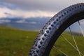 Close-up of a bicycle wheel during sunset. Cycling concept.. Black bicycle wheel on green grass blurred background Royalty Free Stock Photo