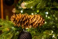Close-up big cone on the Christmas tree Royalty Free Stock Photo