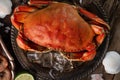 Close-up of big cooked king crab on the round metal black plate served with ice cube, lime and seashells. Seafood concept