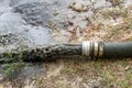 Close-up big pipe of power pump machine pouring mud sludge waste water with sand and silt on ground. Sand-wash and coast-depeening