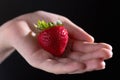 Close up of big red strawberry in hand on black, macro. Vegan lifestyle, healthy diet