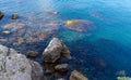 Close-up of big rocks in scenic landscape with rocky coast of the Black Sea in surroundings of Sudak, Crimean peninsula Royalty Free Stock Photo