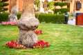 Close up of a big trunk of old palm tree growing on green grass lawn with red flowers around Royalty Free Stock Photo