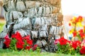 Close up of a big trunk of old palm tree growing on green grass lawn with red flowers around Royalty Free Stock Photo