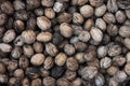 Close up of big unprocessed walnuts Royalty Free Stock Photo