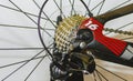 Bike chainrings and rear sprocket silhouettes