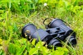 Close-up of binoculars on green grass