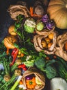 close up of bio food. Garden produce and harvested vegetable. Fresh farm vegetables Zero waste and eco friendly shopping with Royalty Free Stock Photo