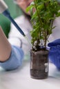 Close up of biologist researcher using micropipette putting genetic solution in test tube