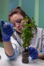 Close up of biologist researcher using micropipette putting genetic solution in test tube