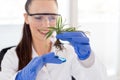 Biologist holding seedling above glass for test Royalty Free Stock Photo