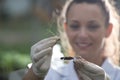 Biologist holding seedling above glass for test Royalty Free Stock Photo