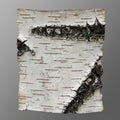 Close-up of birch bark, characterized by its distinctive white color and horizontal Royalty Free Stock Photo