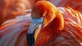 Close-Up of Bird With Blurry Background