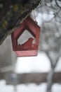 Close-up of a bird feeder on a tree under the snow in the forest. Royalty Free Stock Photo