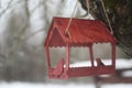 Close-up of a bird feeder on a tree under the snow in the forest. Royalty Free Stock Photo