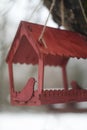 Close-up of a bird feeder on a tree under the snow in the forest. Royalty Free Stock Photo