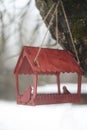 Close-up of a bird feeder on a tree under the snow in the forest. Royalty Free Stock Photo