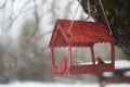 Close-up of a bird feeder on a tree under the snow in the forest. Royalty Free Stock Photo
