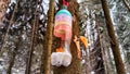 Close-up of a Bird feeder from a plastic bottle on a tree under the snow in the forest Royalty Free Stock Photo