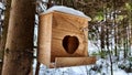 Close-up of a bird feeder on a tree under the snow in the forest Royalty Free Stock Photo