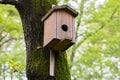 close-up Bird house on a tree. Wooden birdhouse, nesting box for songbirds in park. Royalty Free Stock Photo