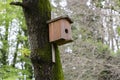 close-up Bird house on a tree. Wooden birdhouse, nesting box for songbirds in park. Royalty Free Stock Photo