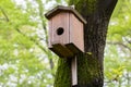 close-up Bird house on a tree. Wooden birdhouse, nesting box for songbirds in park. Royalty Free Stock Photo