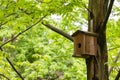 close-up Bird house on a tree. Wooden birdhouse, nesting box for songbirds in park. Royalty Free Stock Photo