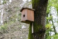 close-up Bird house on a tree. Wooden birdhouse, nesting box for songbirds in park. Royalty Free Stock Photo