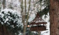 Close up on bird house on winter Royalty Free Stock Photo