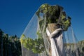 Close up of bird proof netting protecting grape production in New Zealand