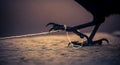 Close-up of a bird\'s talon holding a thin string on sandy surface Royalty Free Stock Photo