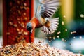 close-up of bird seed overflowing from feeder