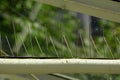 close-up of bird spikes under a glass roof top