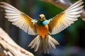 a close-up of a bird spreading its wings, representing expansive breathwork