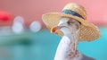 A close up of a bird wearing a hat, close-up portrait of a seagull bird traveller in front of canal with boats